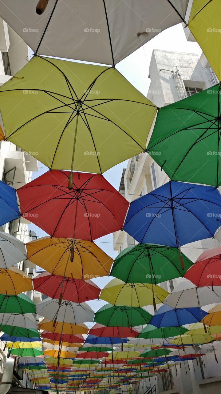 Colourfull Umbrellas