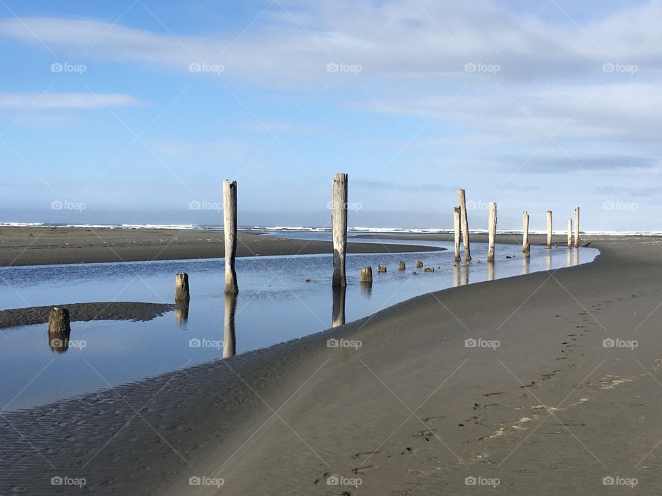 Posts at seaside 