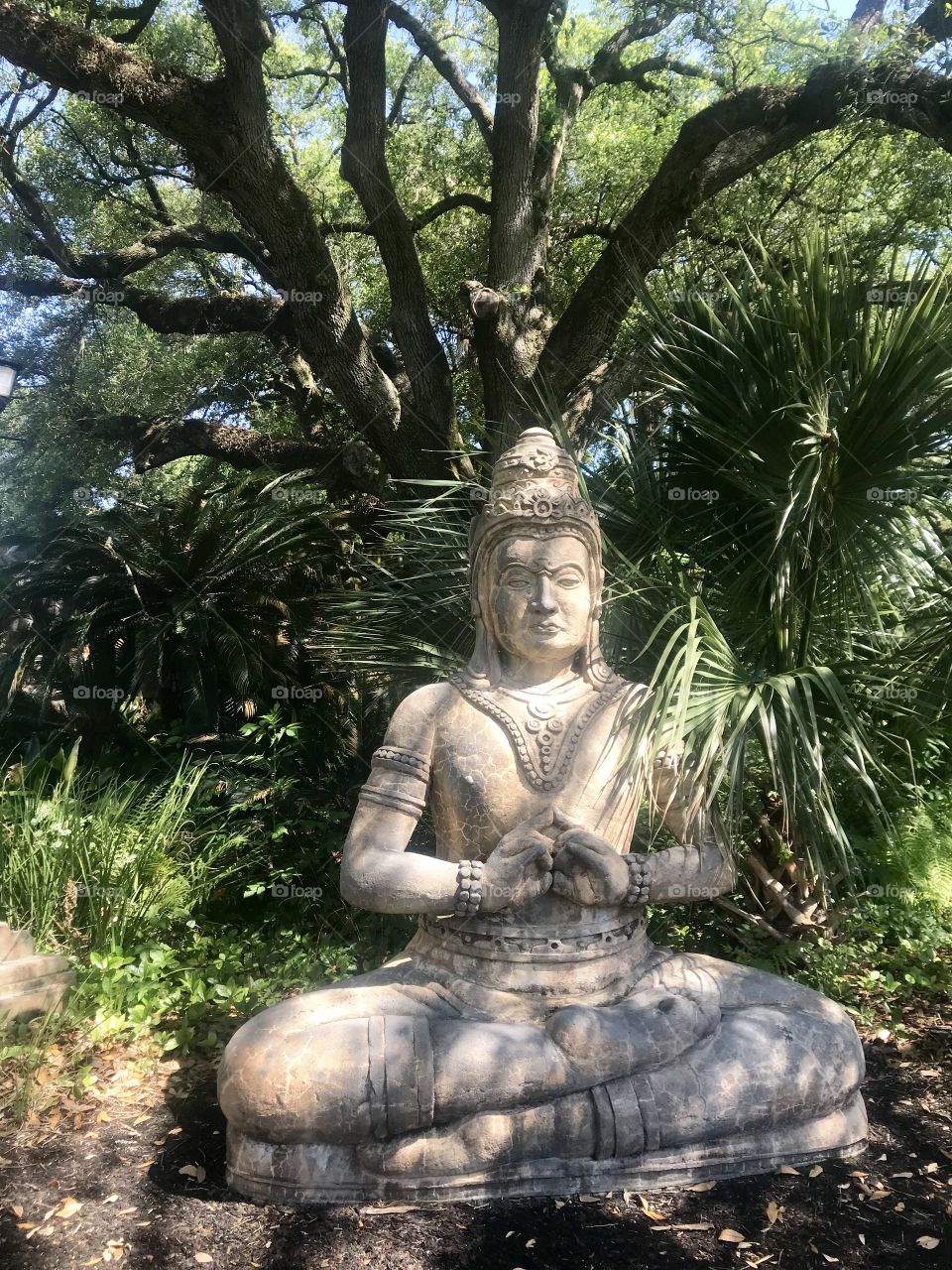 Meditations, New Orleans Audubon Zoo