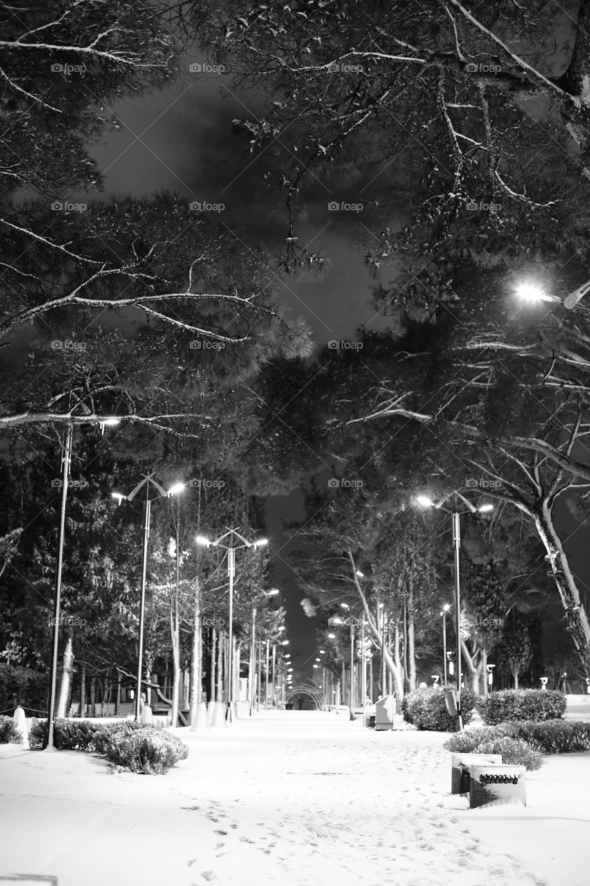 Wide angle winter view park and black white 