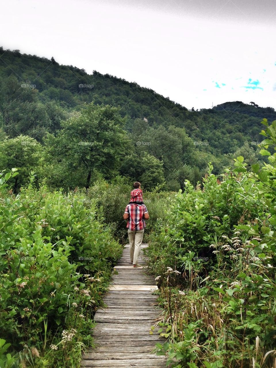 wooden path