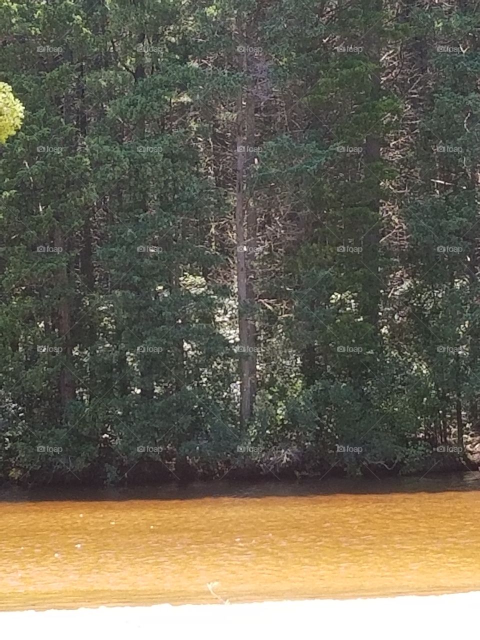Creek water in Bayville N J