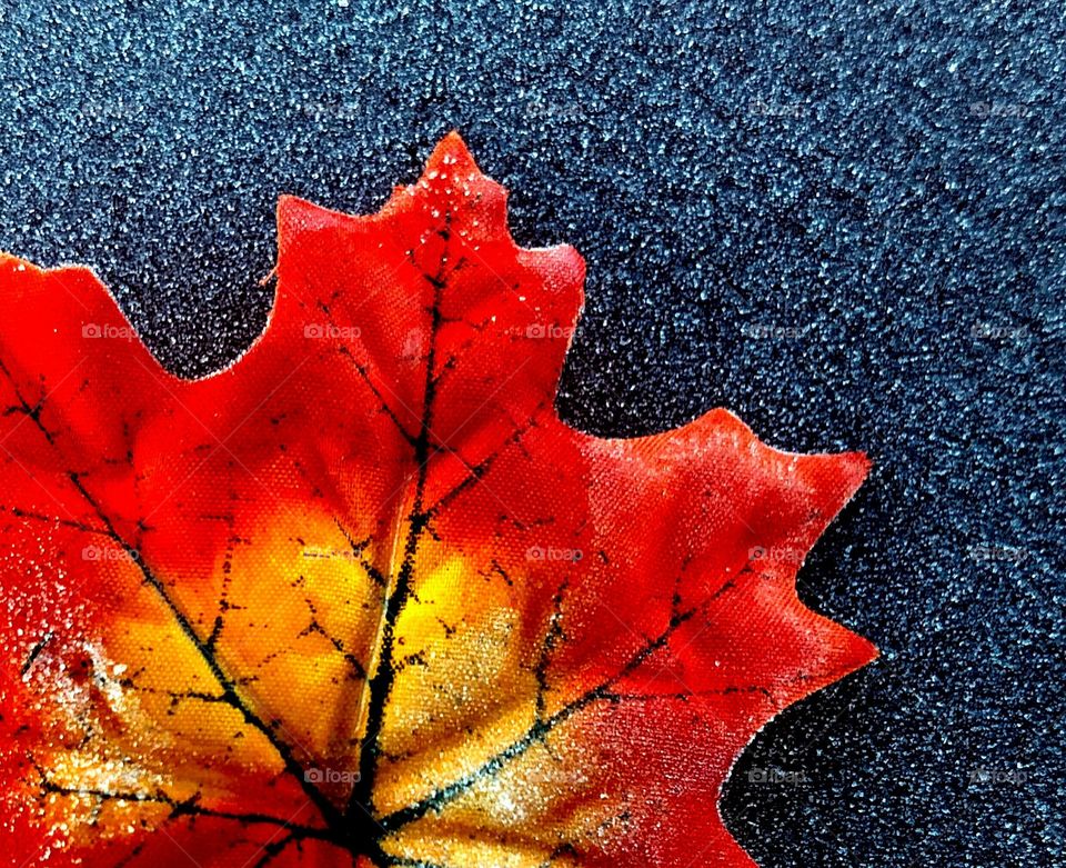 Leaf Sky abstract fall sunset