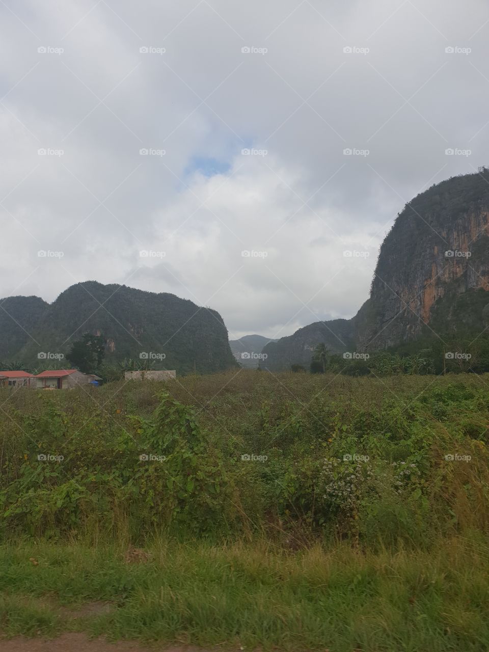 Viñales