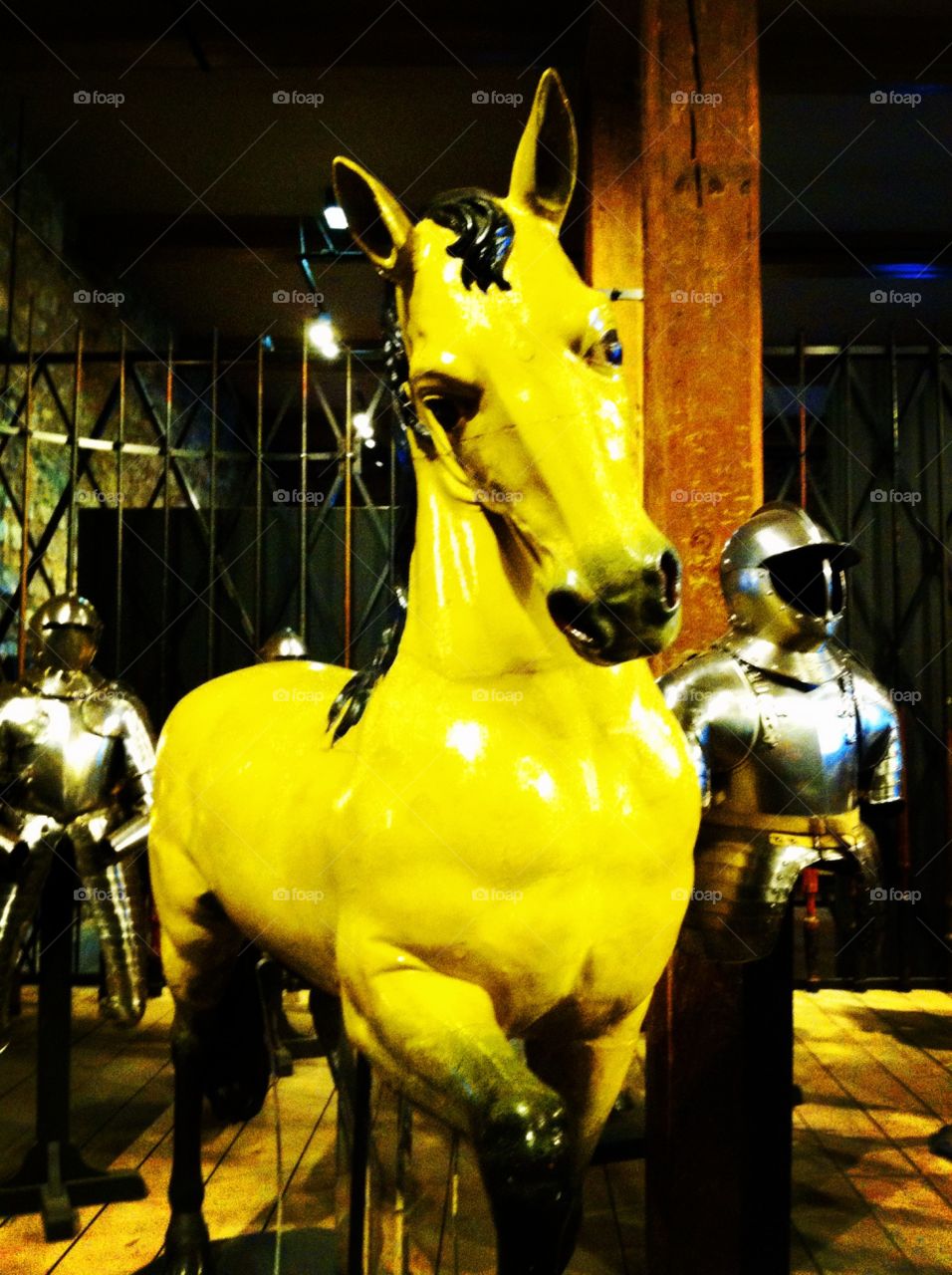 Horse. Tower of London