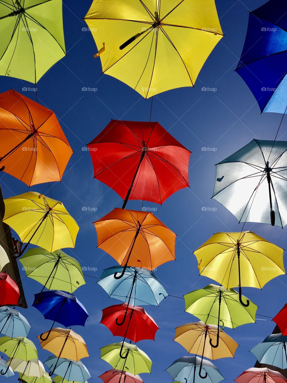 artistic representation with colored umbrellas in Novigrad, Croatia
