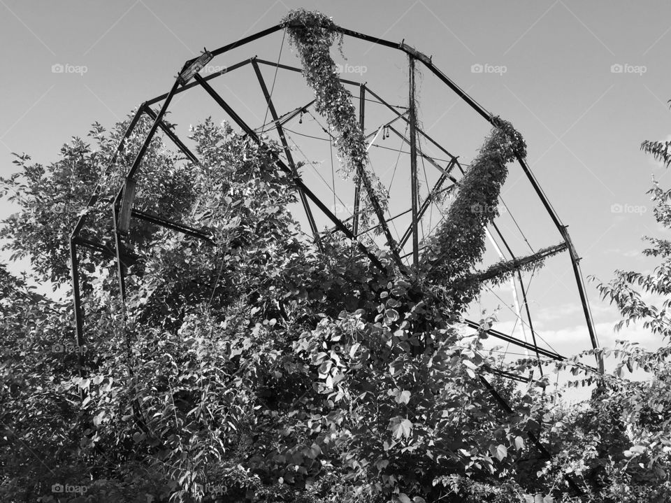 Abandoned Ferris wheel.