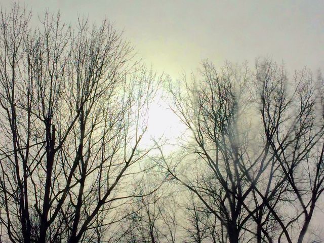 Sun coming  out
