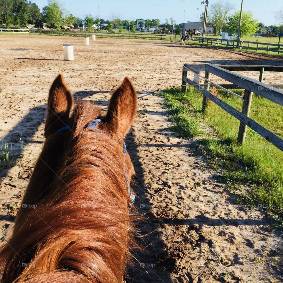 Between the ears picture of a horse just before running the Texas Barrel Weave. Rectangles noted in the fencing around the arena. 