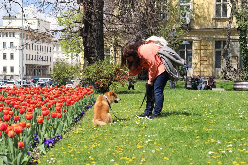 Taking a photo of the dog