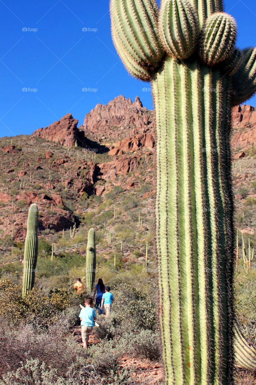 Desert hiking