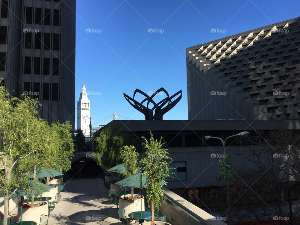 SF Rooftop. View of San Francisco buildings