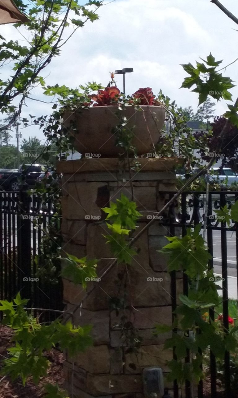 Flowers on rock column. out door lunch