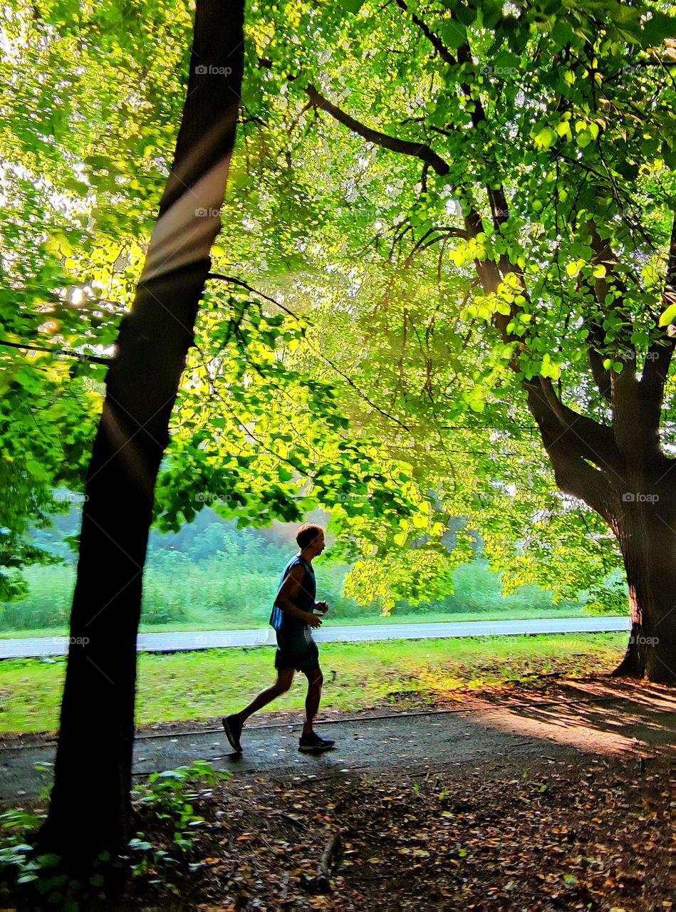 Morning. Dawn. A man in a T-shirt and shorts runs along the path of the park. The orange rays of the rising sun seep through the green trees
