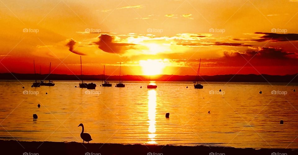 Sunset on the Garda Lake