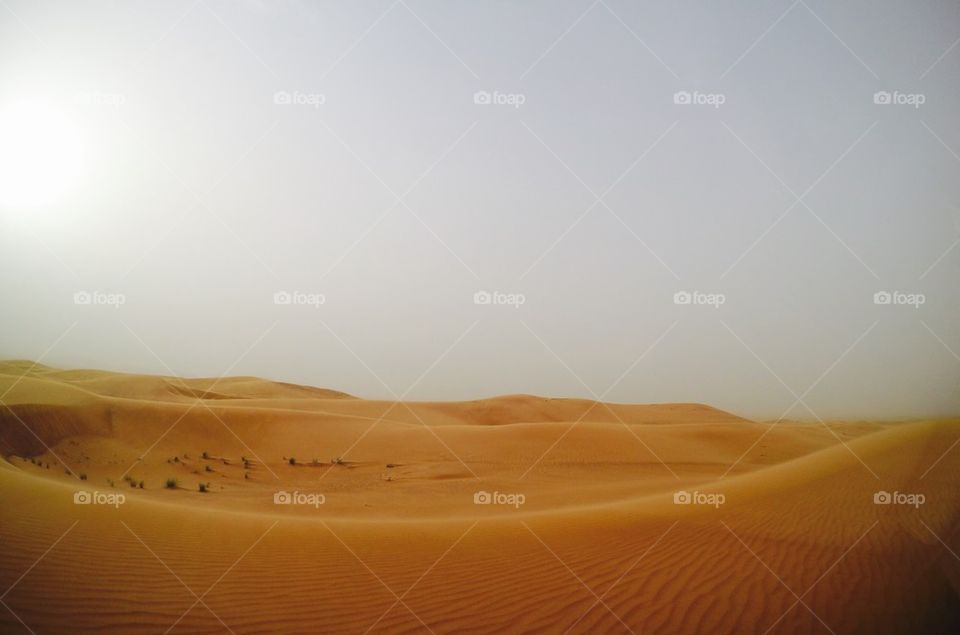 Dubai desert