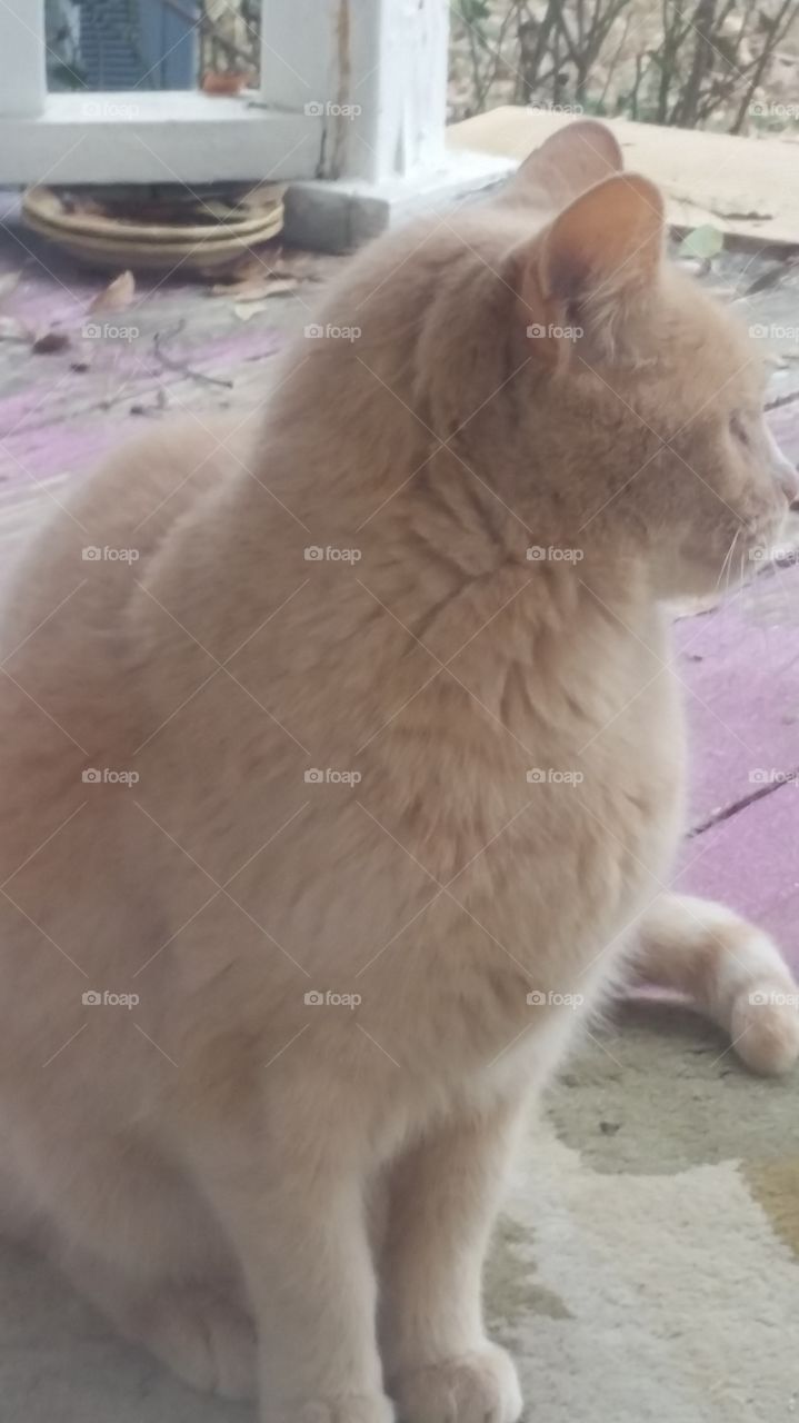 Posing for a picture