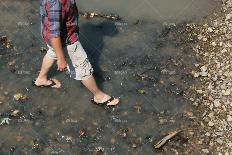 A Walk Through the Creek