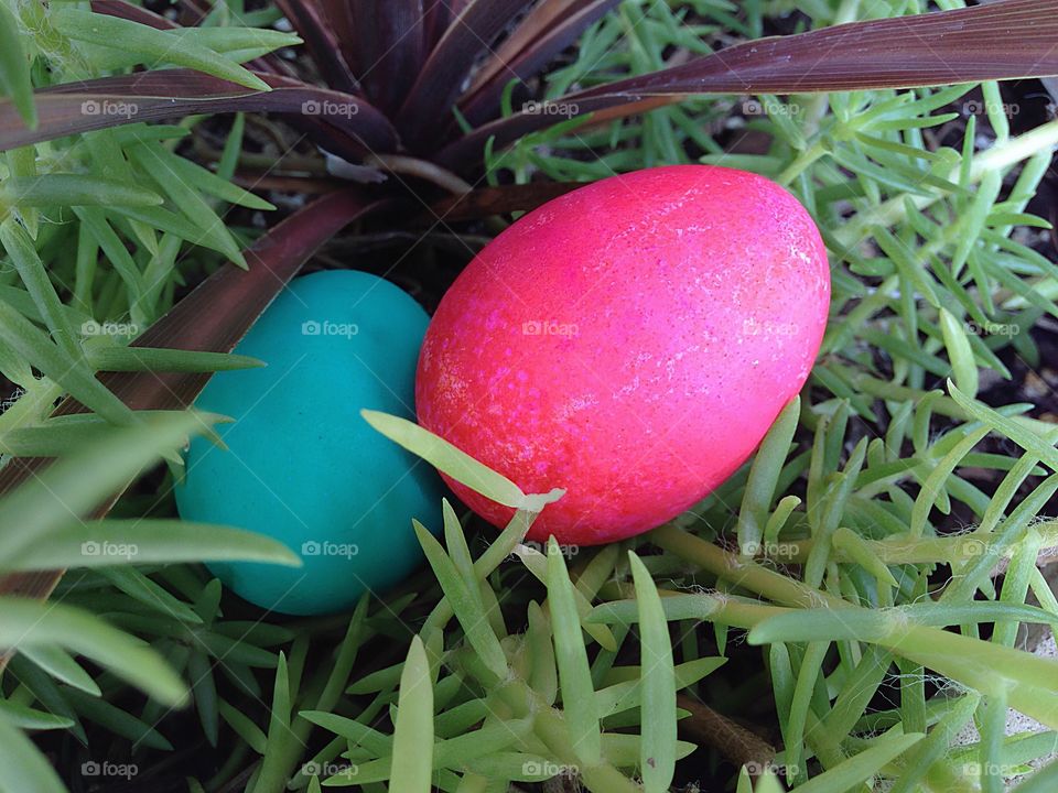 Brightly colored eggs in the garden.