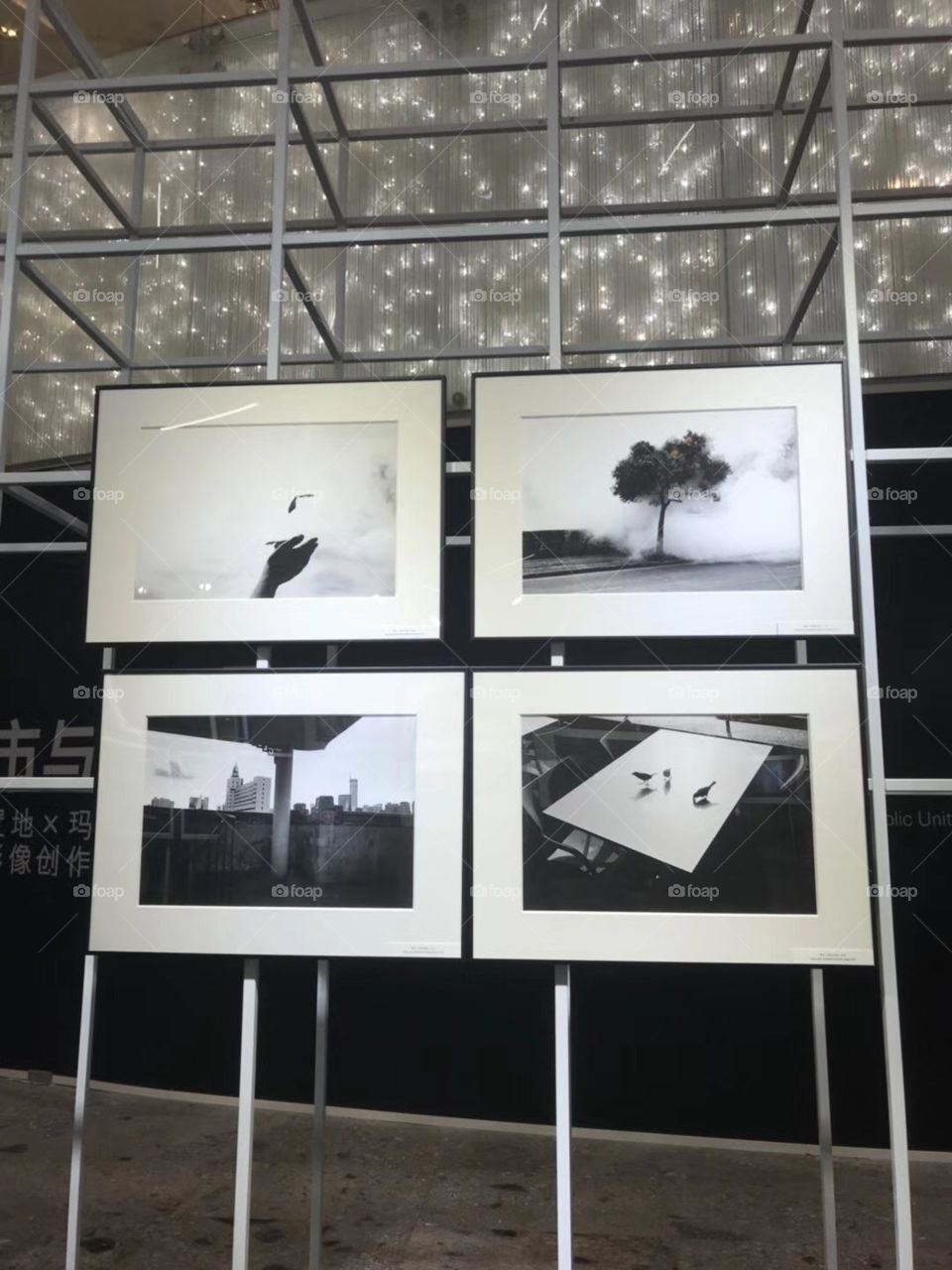 photographic exhibition