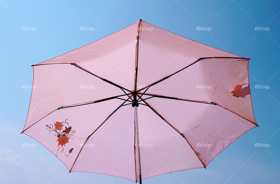 Umbrella ☂️