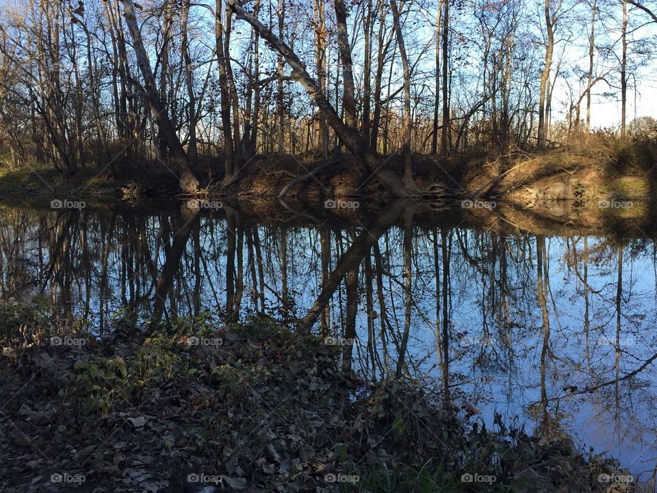 Reflections in the River