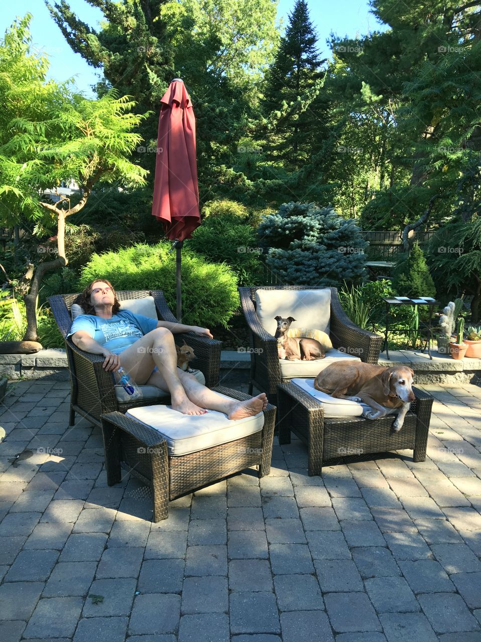 Shadows & sunlight filtering through arboretum sitting garden