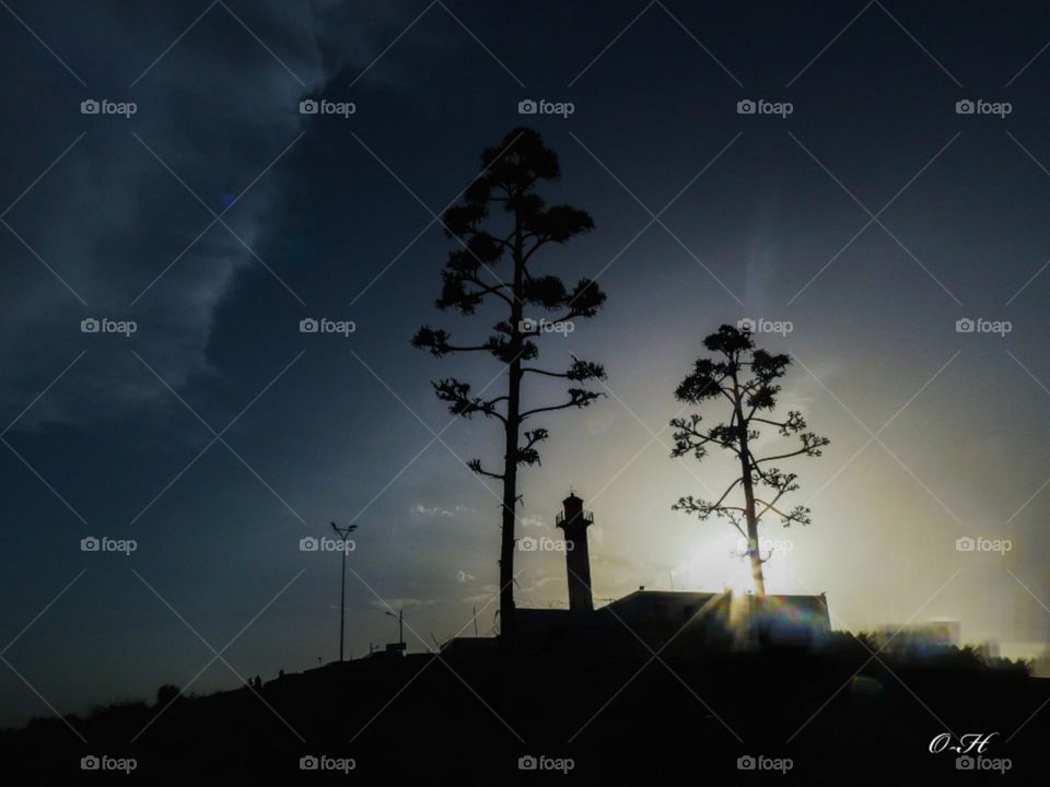 The lighthouse of Mahdia port between the silhouette of two trees