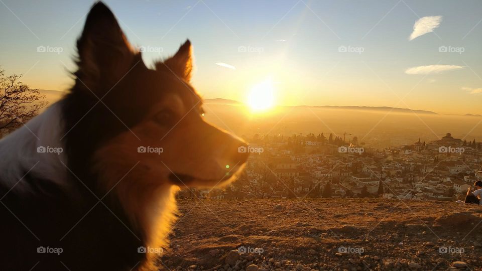 atardeceres de la vida