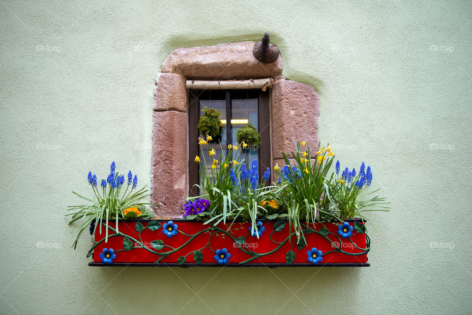 Window box flower arrangement, France