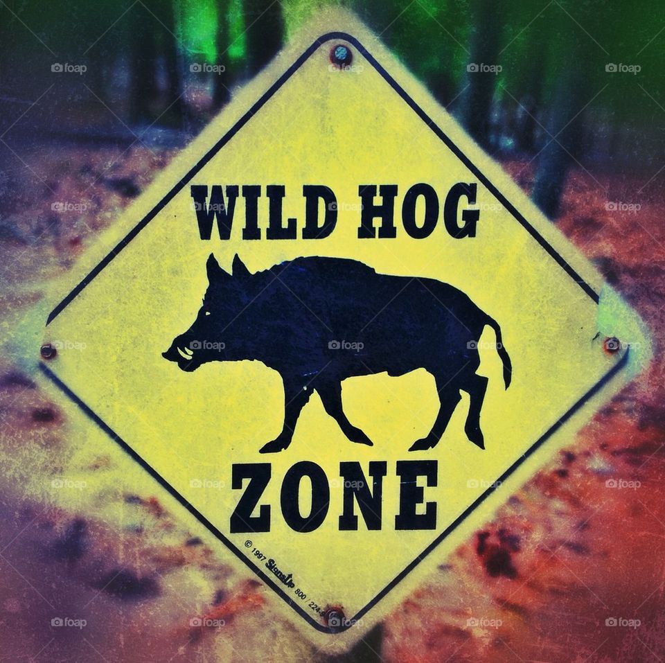 Wild Hog Sign
