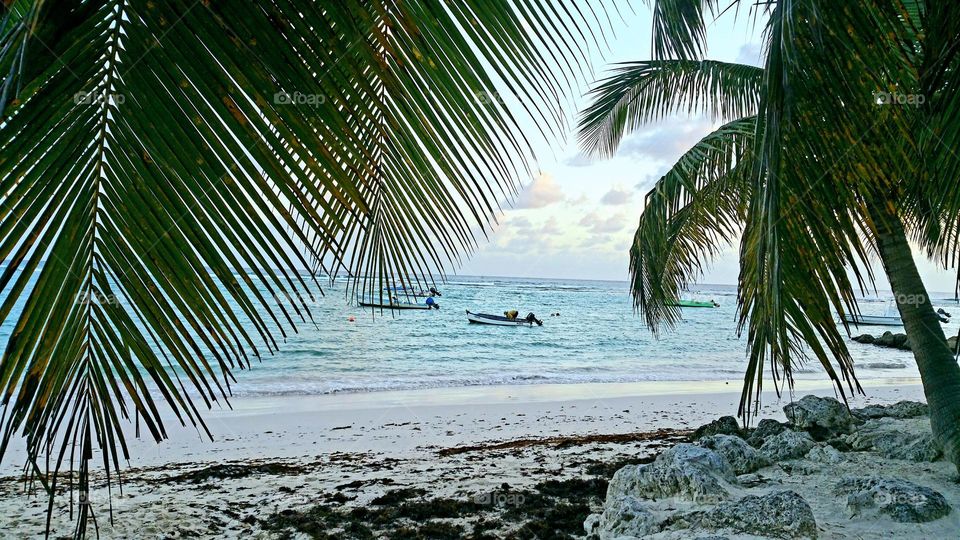 tropical seascape with palm tree leaves and a white beach at the Carribean sea with boats in Barbados