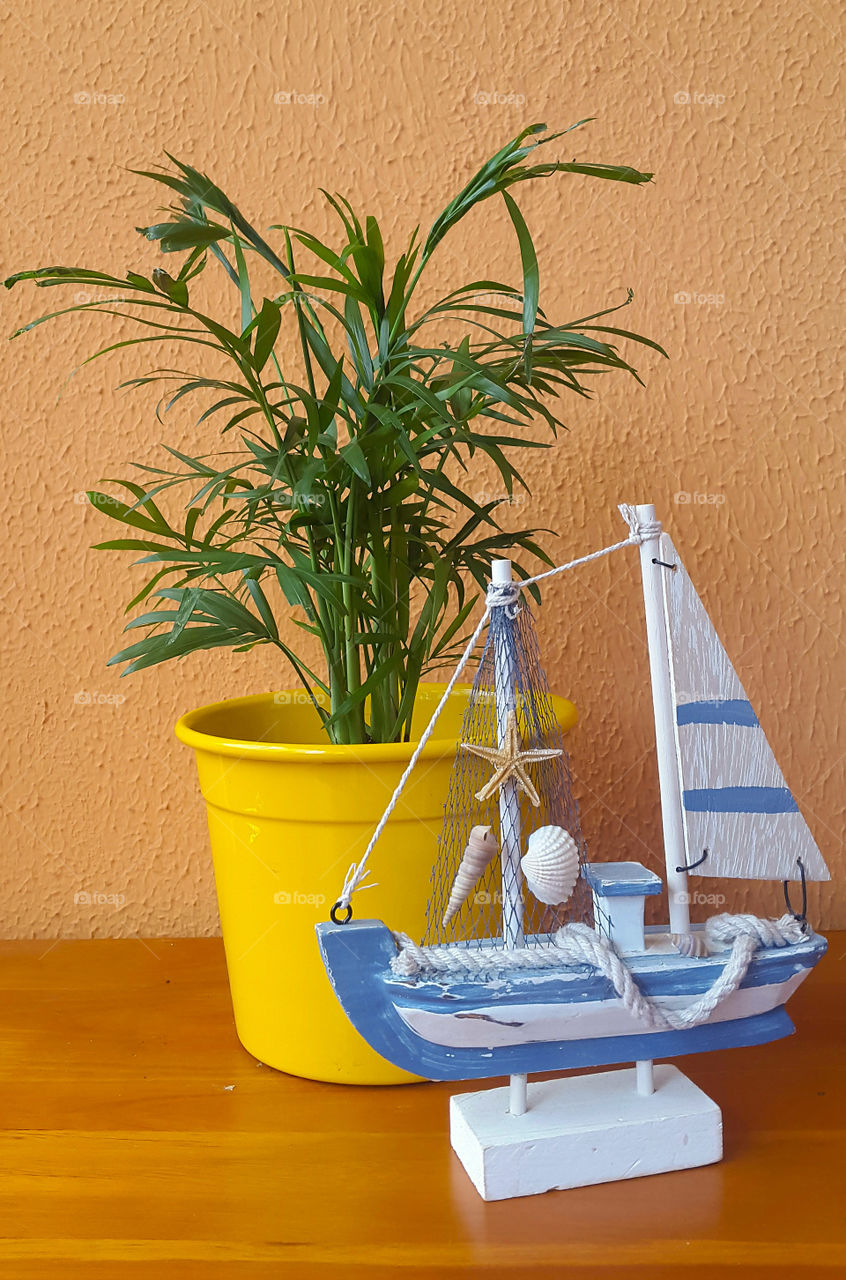 plant, pot and boat