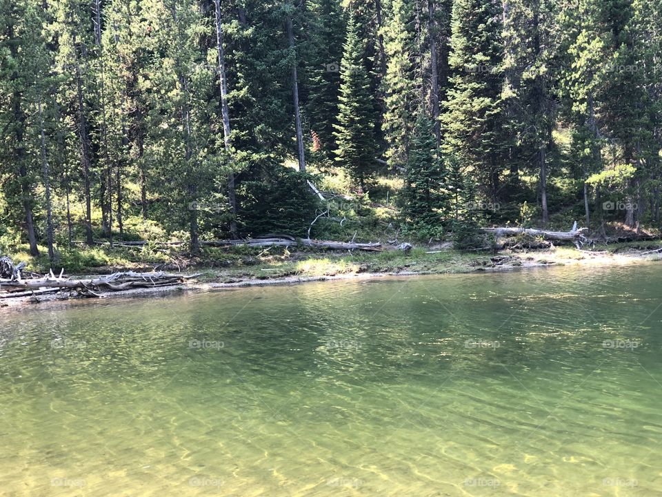 Colter Bay river in Wyoming 
