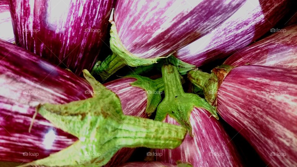 Eggplant season