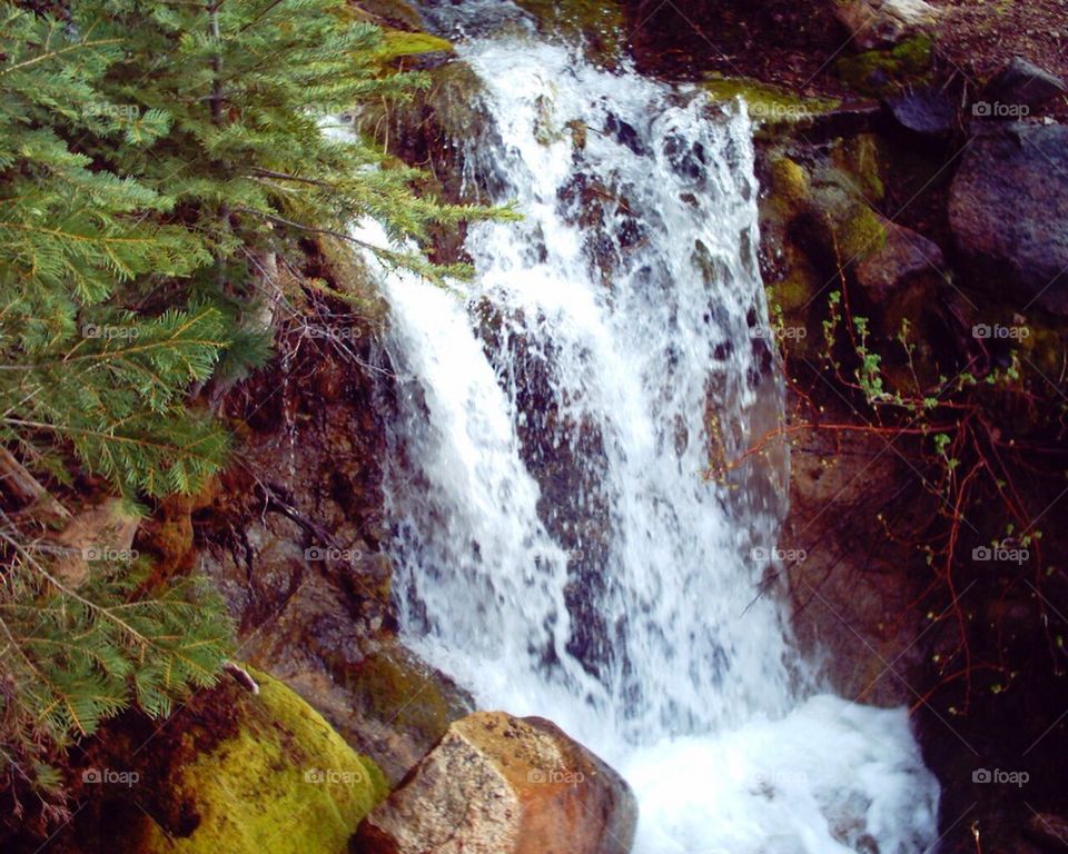 Bridle falls, Yosemite 