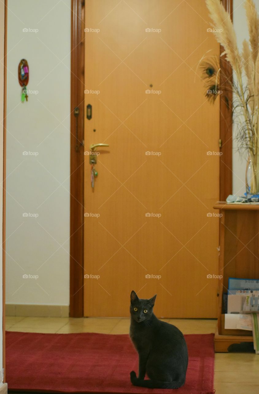 My friend waiting for me at the door