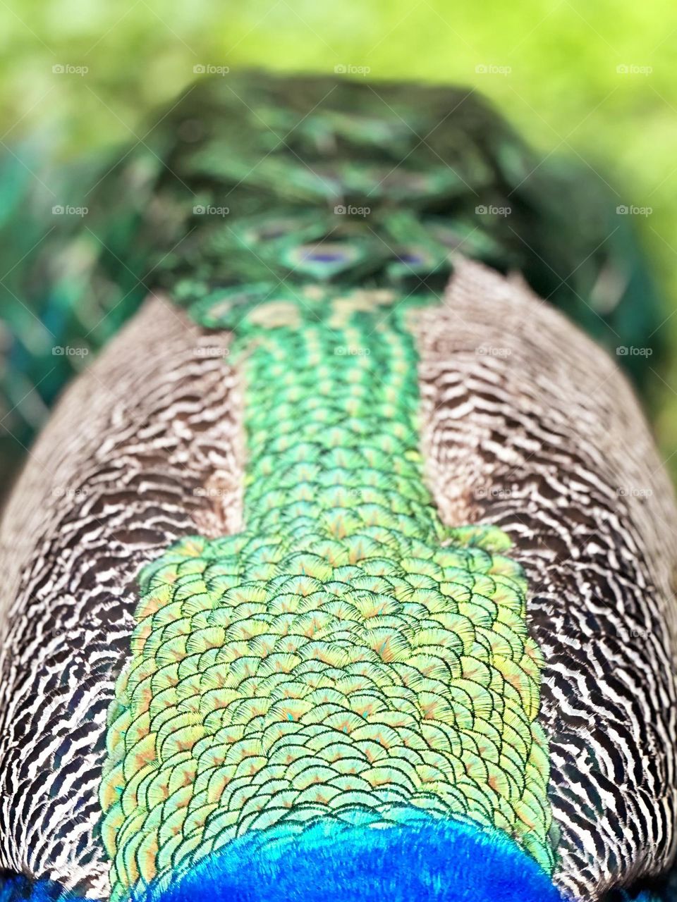 Bright and colorful boost travel 