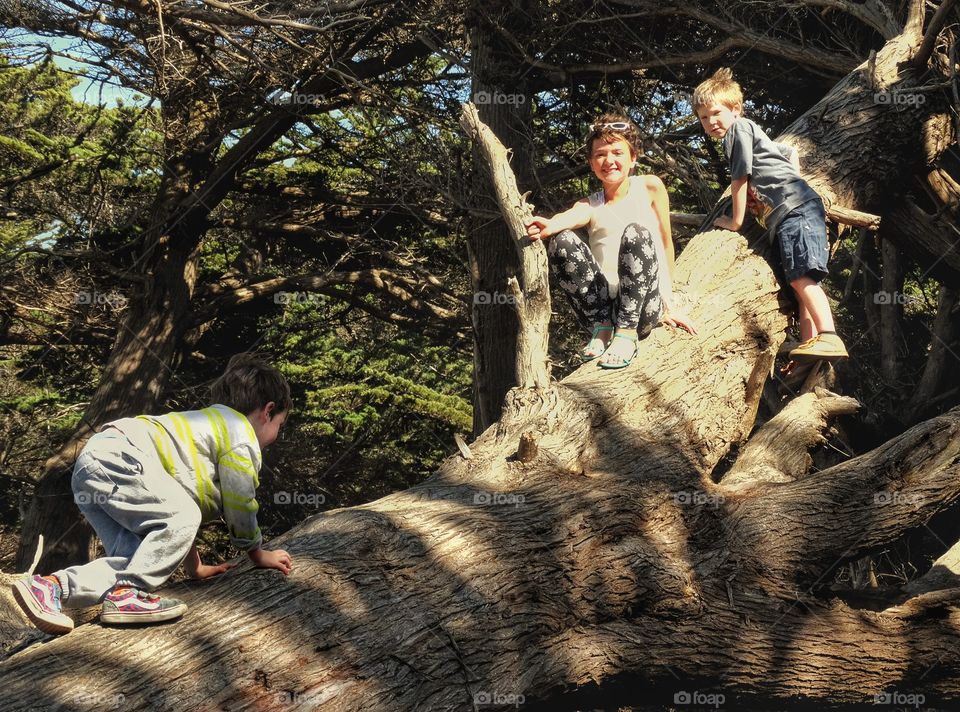 Kids Climbing A Tree