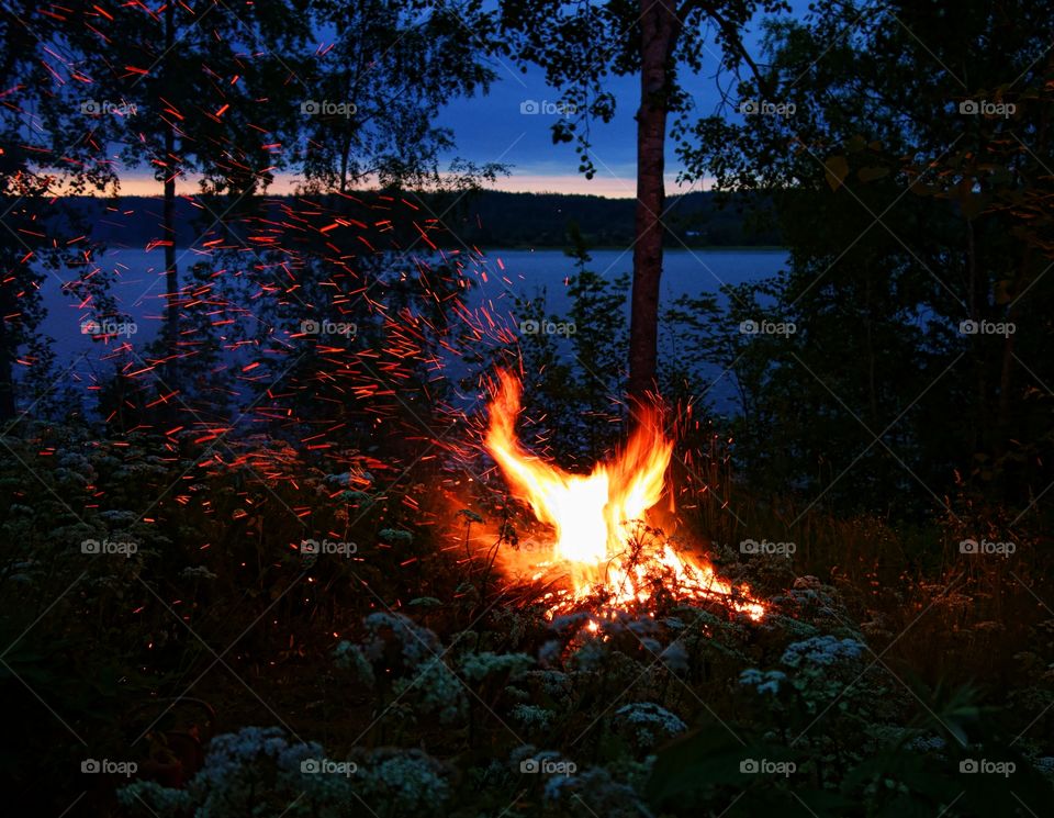 Firebird Phoenix landing. Bird shape sparkle of the St. Johns eve bonfire in Finland