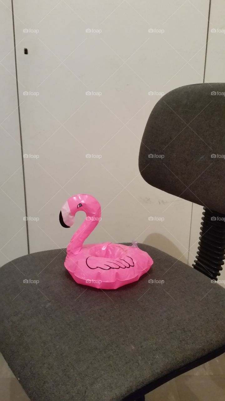 Domesticated flamingo