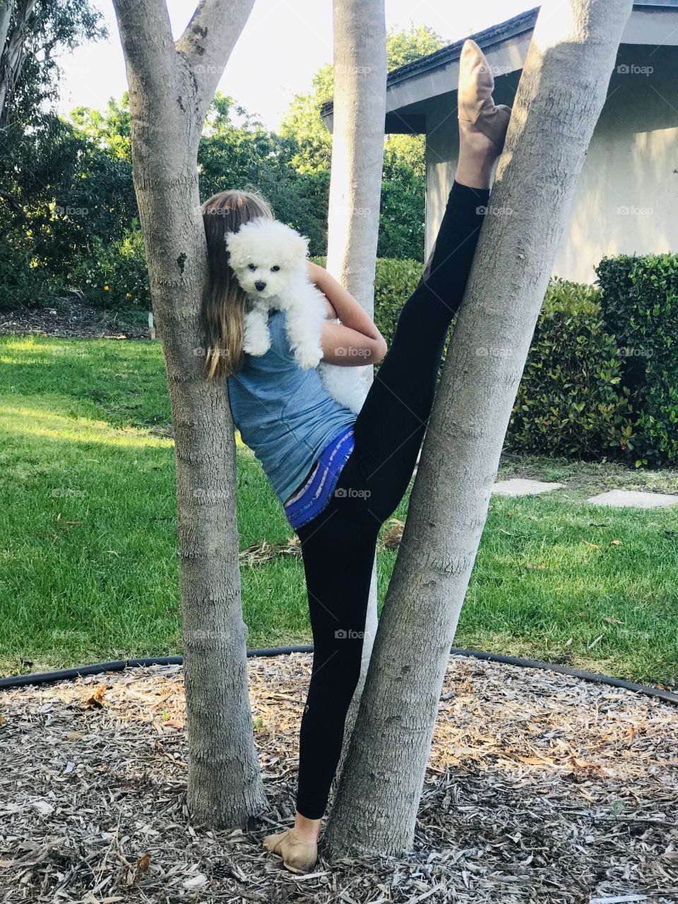 Athletic girl doing splits amid trees while holding Teddy the fluffy Bichon puppy boy.