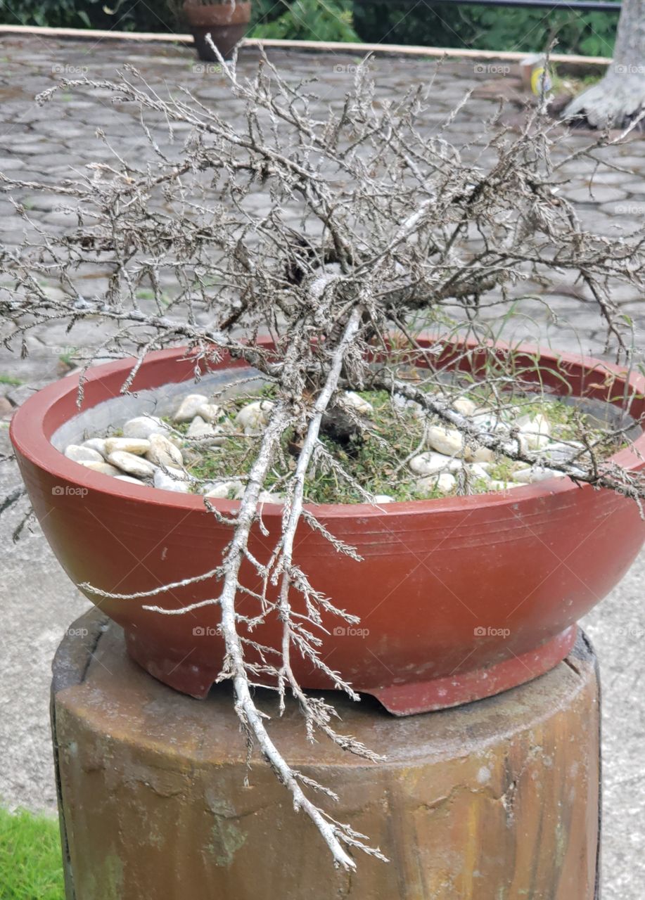 In every struggles there is always solution. Stay Positive.