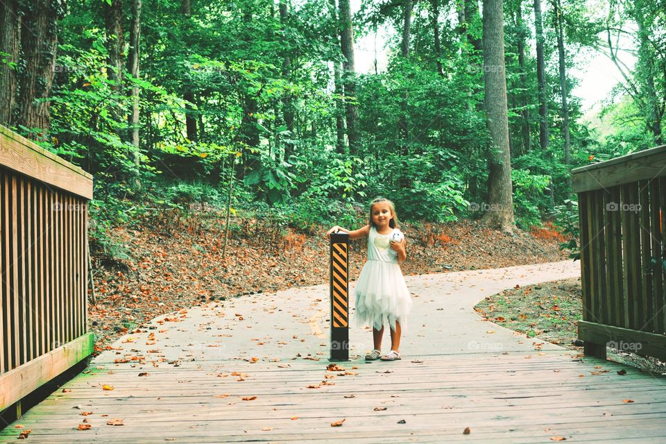 Wood, Nature, Park, Tree, Summer