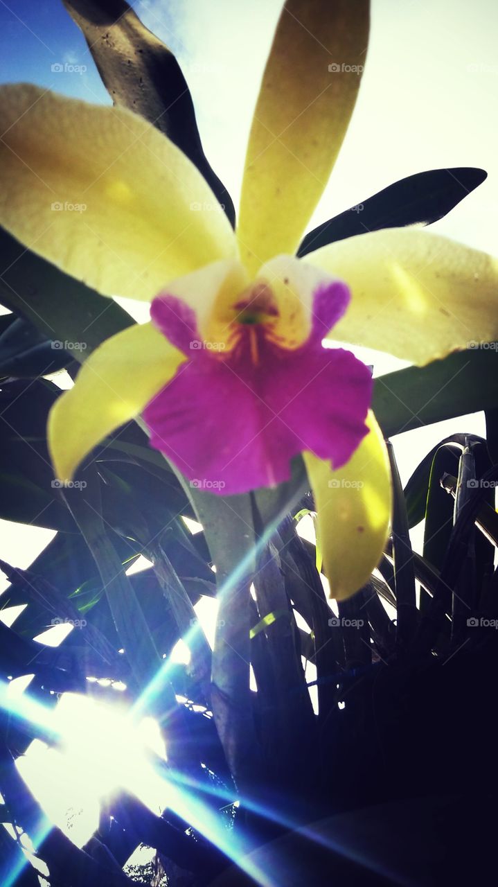 Sunshine coming through...