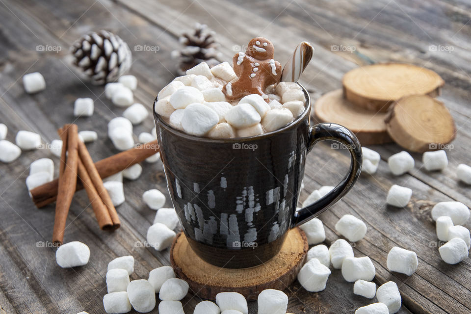 Hot Chocolate and Marshmallows and Gingerbread 