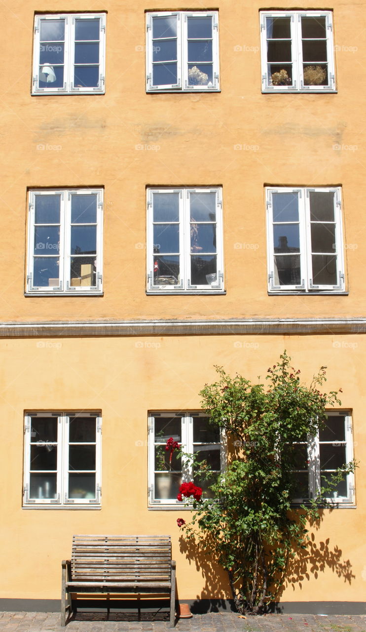 Yellow architecure, Copenhagen