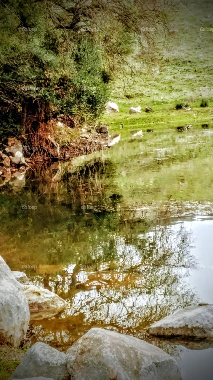 Lake