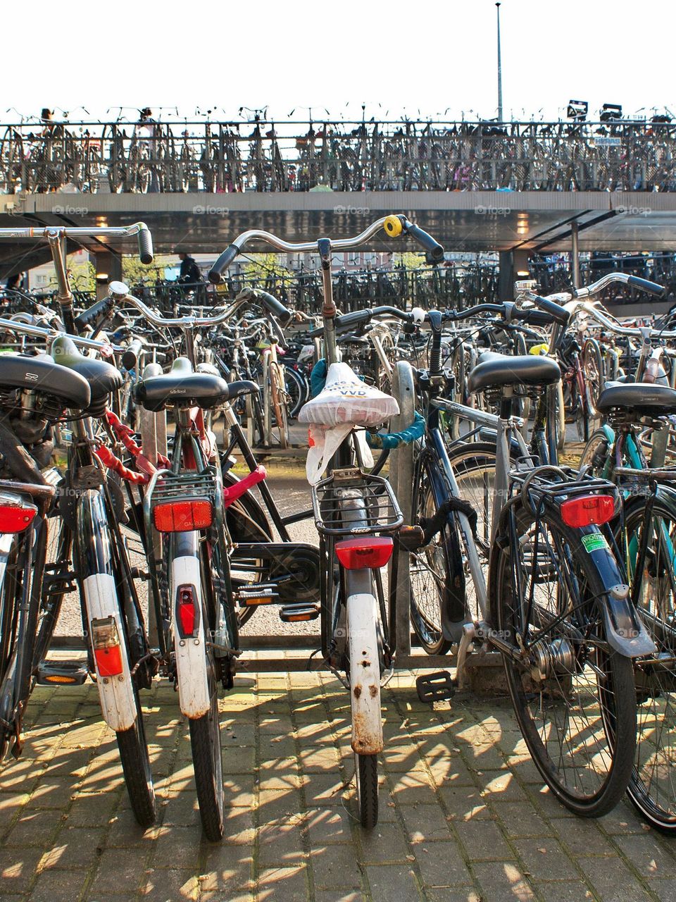 large bicycle parking
