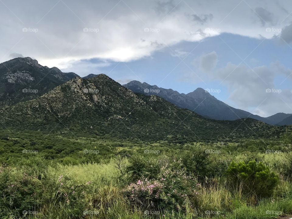 Nature Landscape Silhouette 